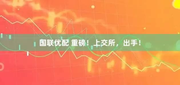 国联优配 重磅！上交所，出手！