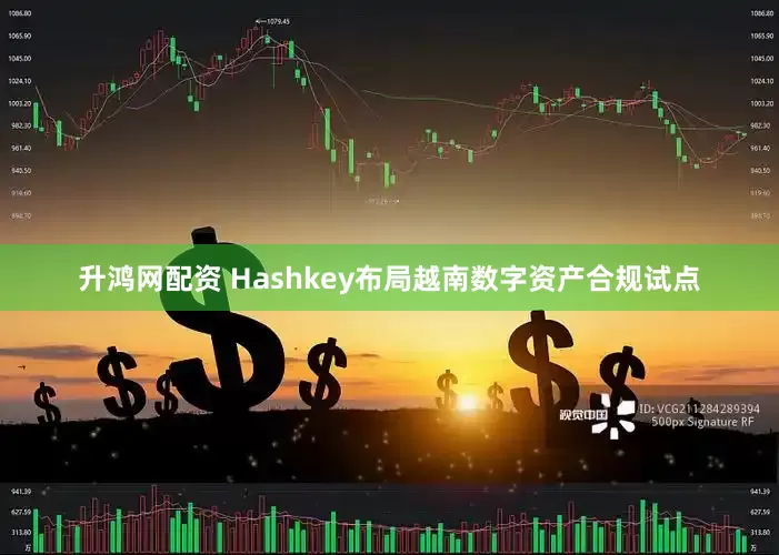 升鸿网配资 Hashkey布局越南数字资产合规试点
